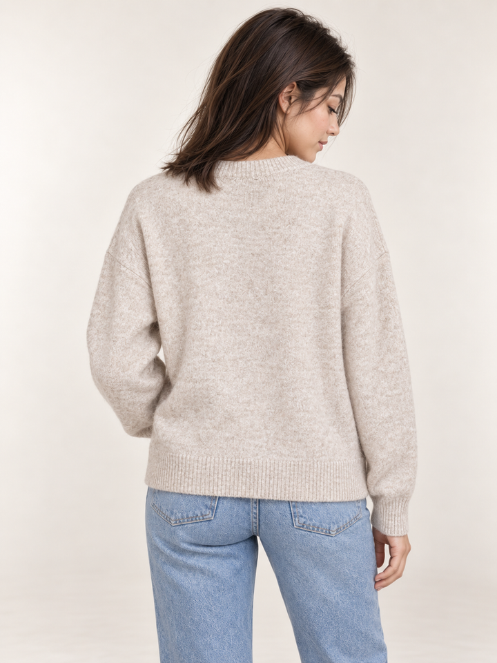 Duck Family Sweater Taupe – back view on model