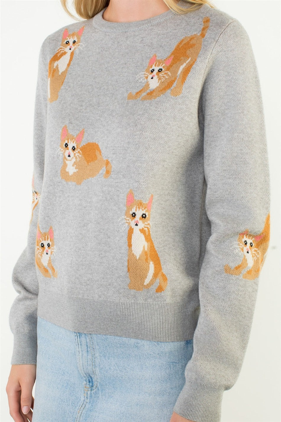 Orange Cat Sweater Gray