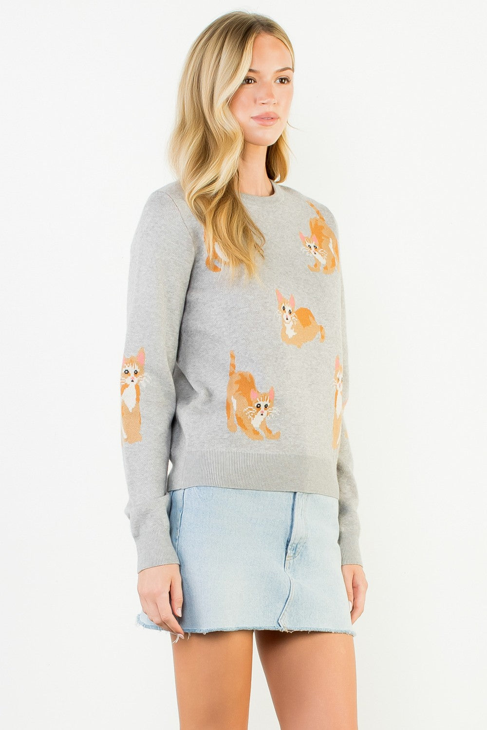 Orange Cat Sweater Gray