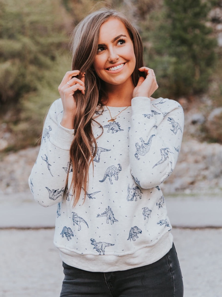 Dinosaur sweatshirt front view