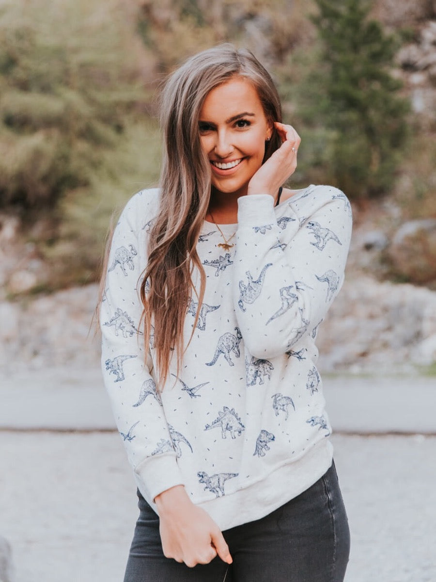 Dinosaur sweatshirt alternate front view