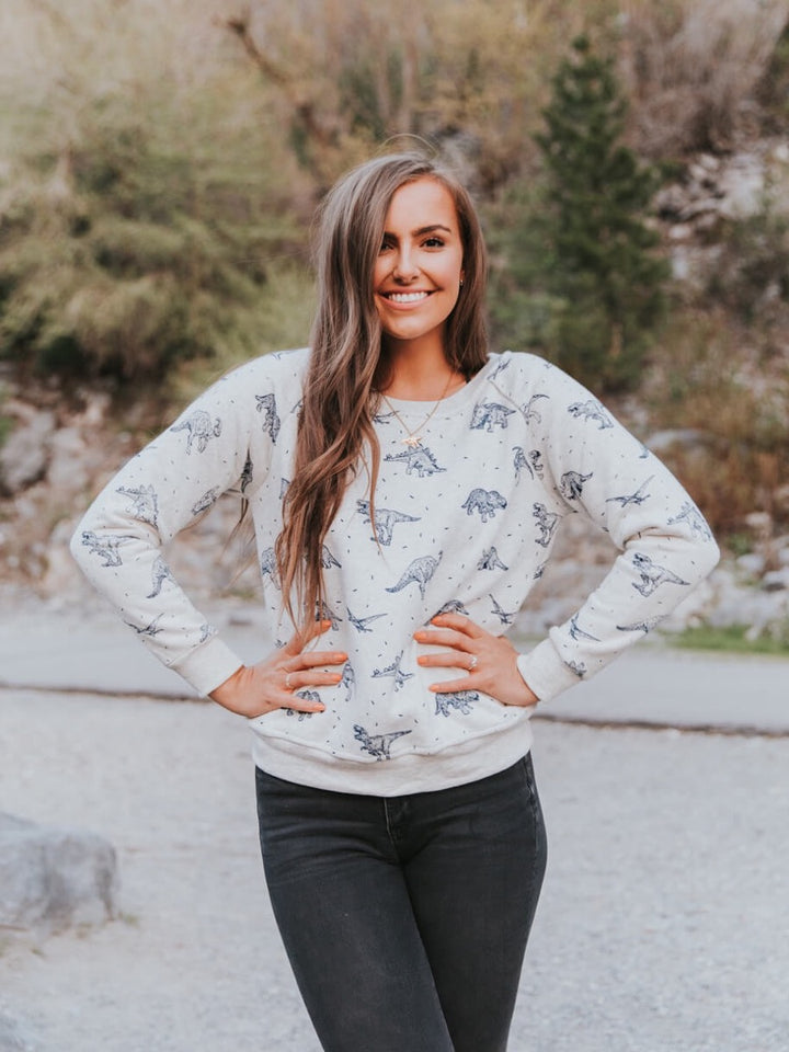Dinosaur sweatshirt full front view