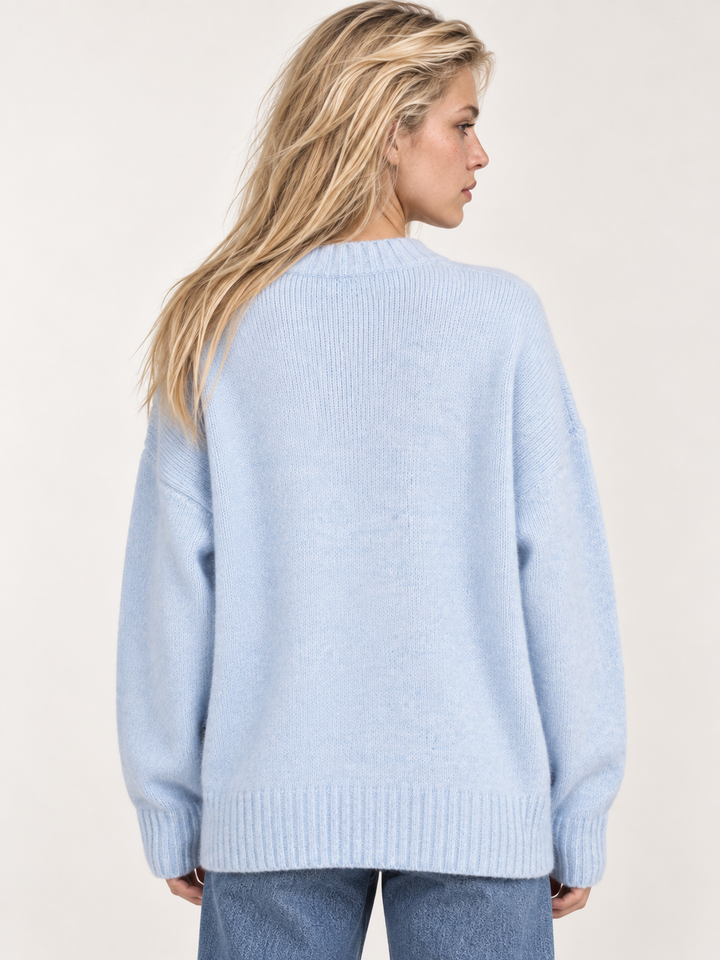 Light blue embroidered ducks sweater back view