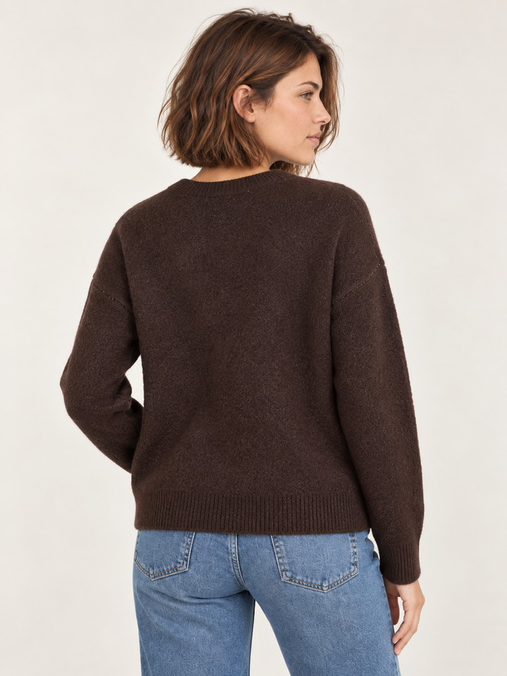 Model wearing Fox Graphic Sweater Brown, back view