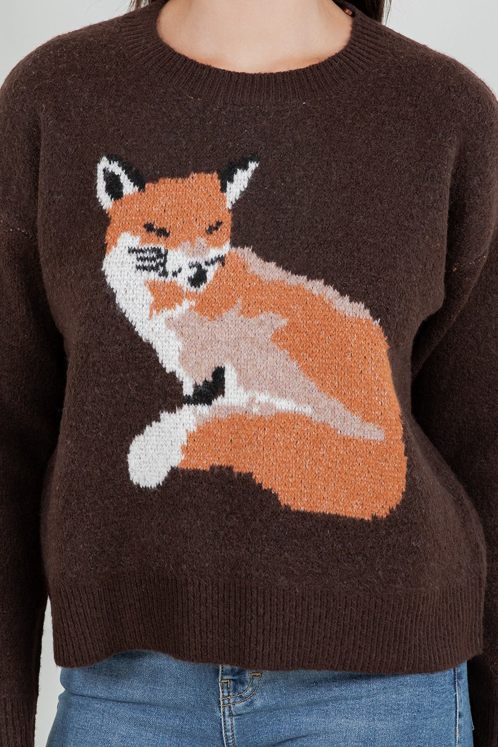 Fox Graphic Sweater Brown