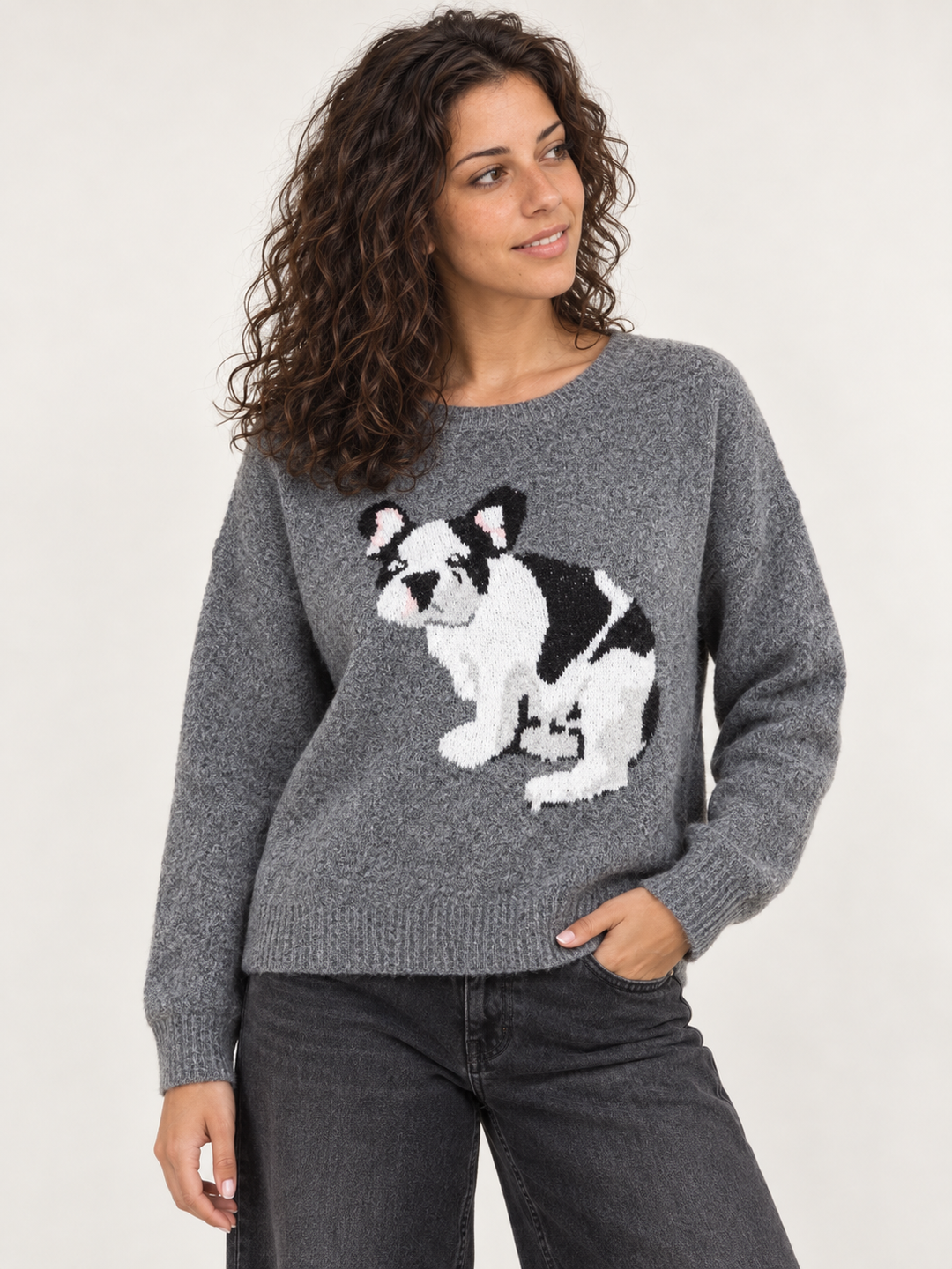 Front view of Frenchie Dog Sweater Charcoal on model