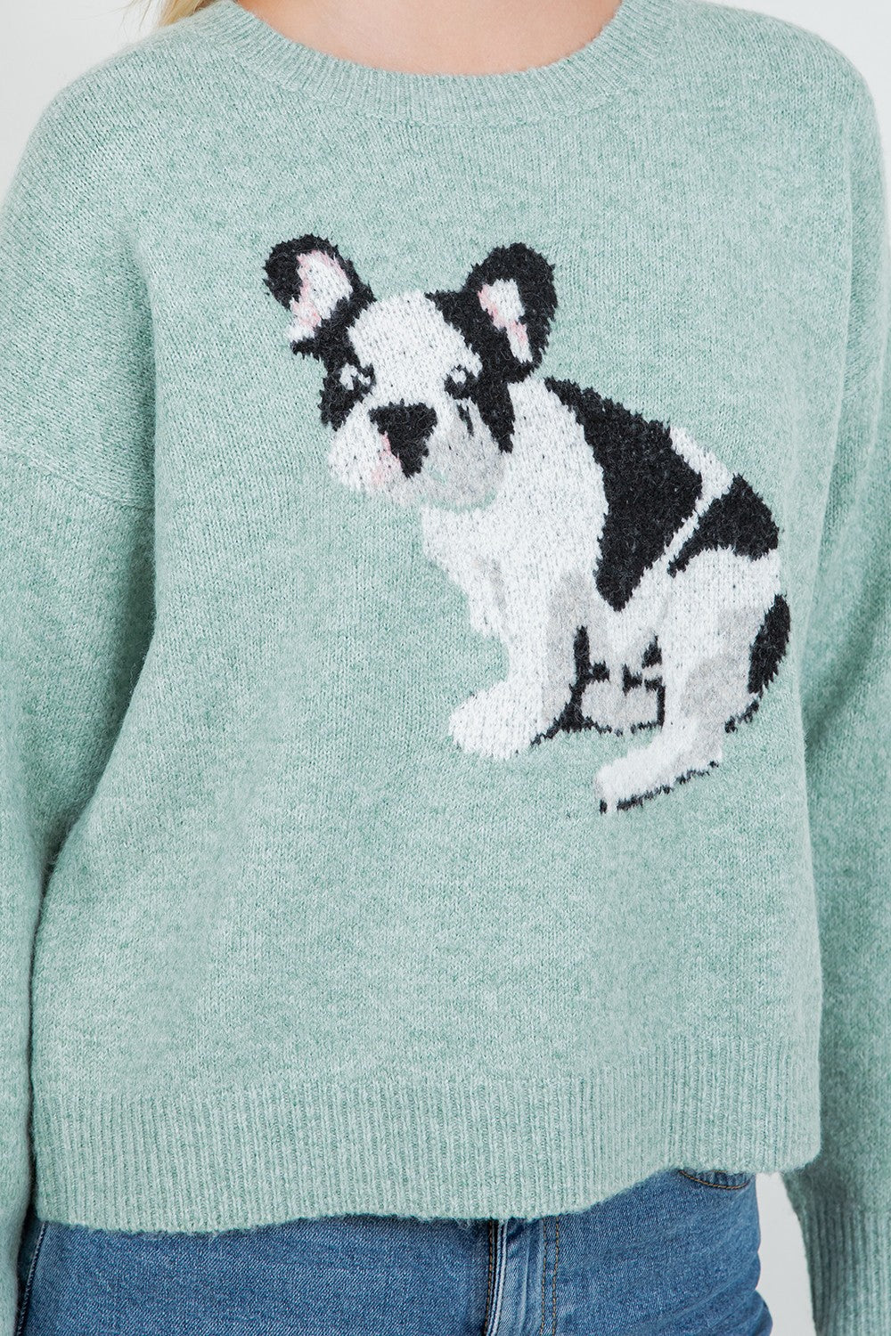 Frenchie Dog Sweater Mint