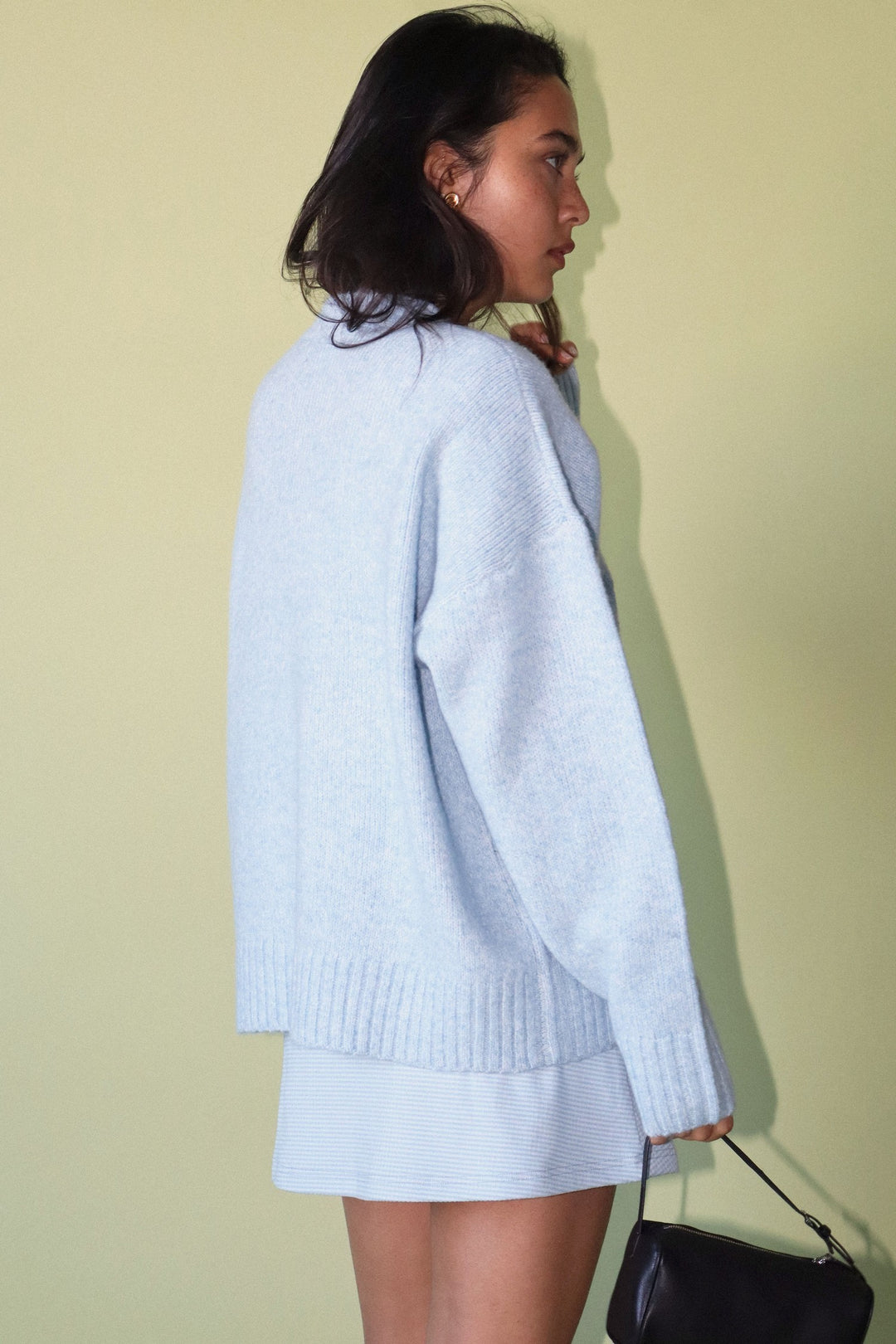 Embroidered Ducks Sweater Light Blue