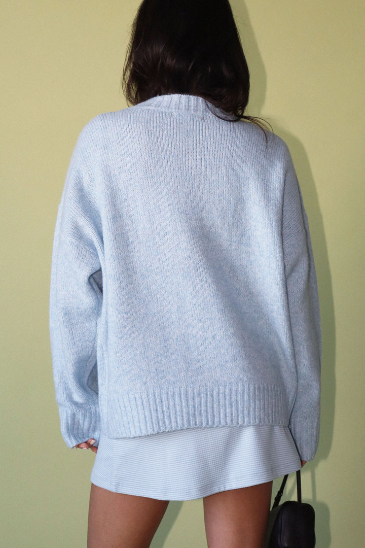Embroidered Ducks Sweater Light Blue