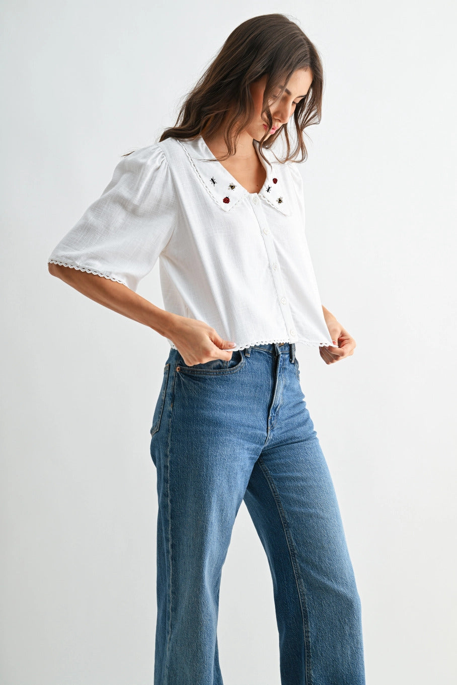 Ladybug Ant Bee Embroidered Collar Blouse