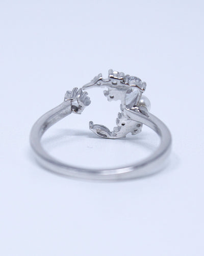 Moon Cluster Ring